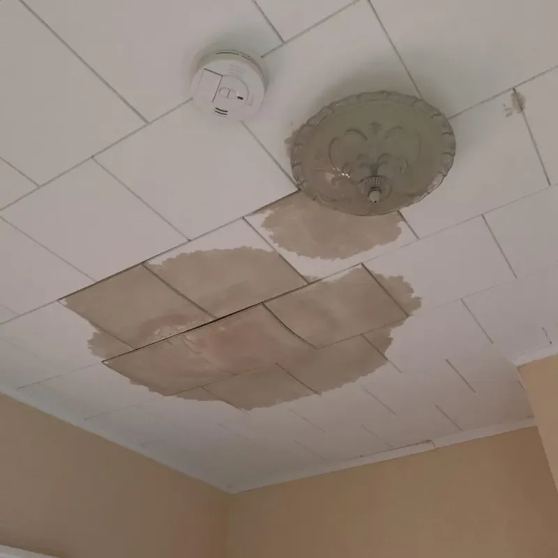 Ceiling Water Damage Repair in Ridge Wood Heights, FL